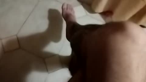 Snapshot of dthedog12 chatting on 30, 9, 2025 dthedog12 online show from 30, 9, 2025