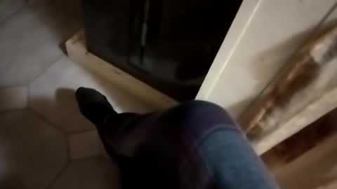 Snapshot of dthedog12 chatting on 24, 10, 2025 dthedog12 online show from 24, 10, 2025