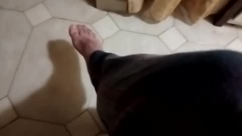 Snapshot of dthedog12 chatting on 4, 11, 2025 dthedog12 online show from 4, 11, 2025