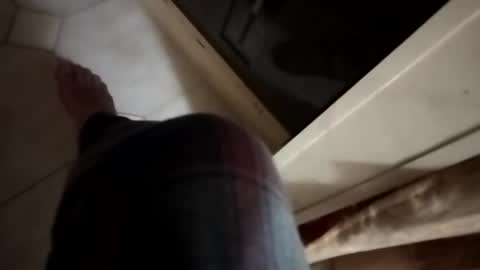 Snapshot of dthedog12 chatting on 6, 11, 2025 dthedog12 online show from 6, 11, 2025