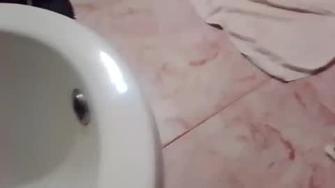 Snapshot of dthedog12 chatting on 21, 11, 2025 dthedog12 online show from 21, 11, 2025