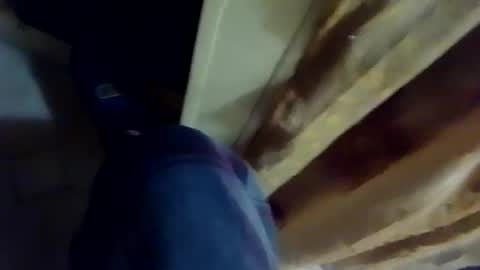 dthedog12 online show from 4, 2, 2026