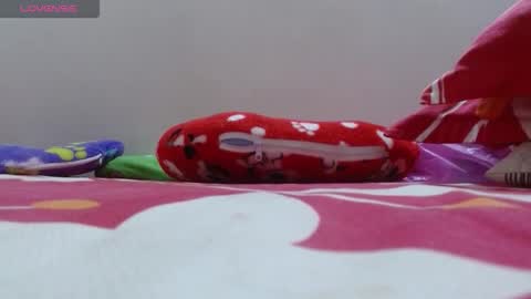 Snapshot of dulce_mmaria chatting on 24, 11, 2025 dulce online show from 24, 11, 2025