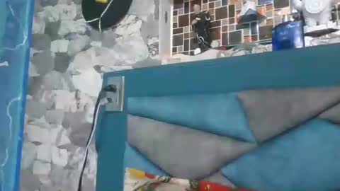 Dulce Sexx26 online show from 24, 11, 2025