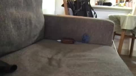 dulcemelo online show from 17, 3, 2026