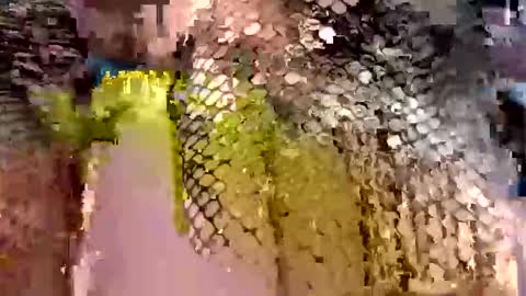 Snapshot of dwadek081704 chatting on 19, 9, 2025 dwadek081704 online show from 19, 9, 2025