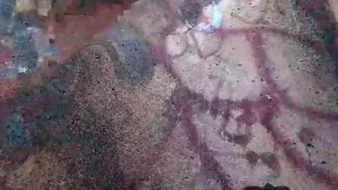 Snapshot of dwadek081704 chatting on 2, 11, 2025 dwadek081704 online show from 2, 11, 2025