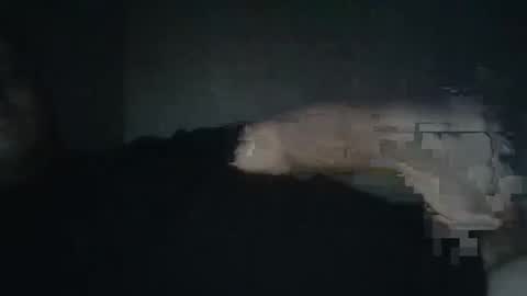 dxjbre online show from 8, 1, 2026