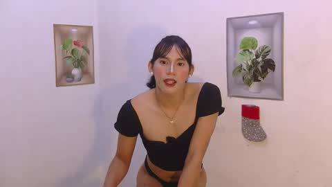 dy_namite online show from 12, 2, 2026