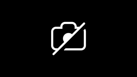 dylp400 online show from 12, 1, 2026