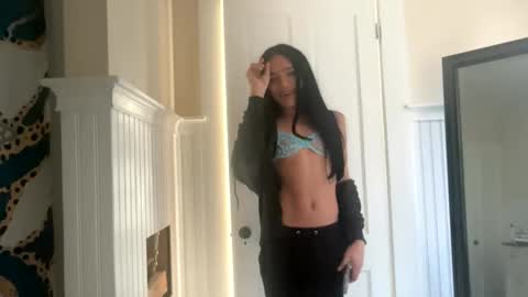 Dynasty online show from 17, 11, 2025