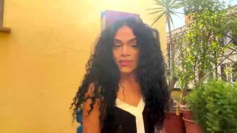 Dynasty online show from 24, 3, 2026