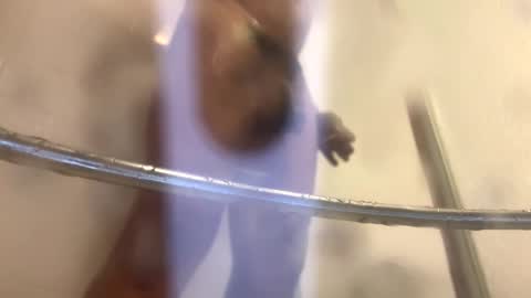 easternjerk online show from 20, 10, 2025