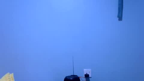 ebonybloom01 online show from 26, 11, 2025