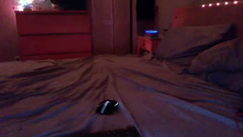 Steven online show from 17, 12, 2025