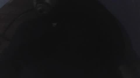 edu4394 online show from 23, 3, 2026