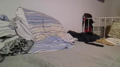 Snapshot of edwill13 chatting on 12, 2, 2026 EdM online show from 12, 2, 2026