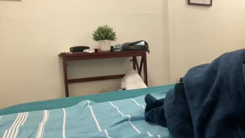 eel184 online show from 10, 3, 2026