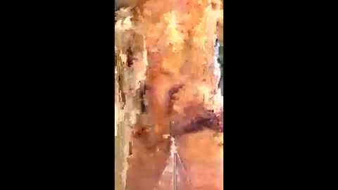 eirickr online show from 6, 1, 2026