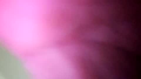 el_friquiti_123 online show from 13, 11, 2025