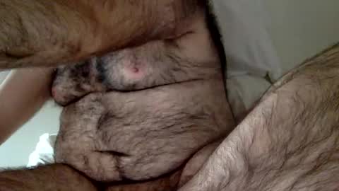 Snapshot of elago chatting on 23, 12, 2024 elabear online show from 23, 12, 2024