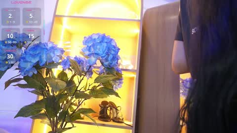 Elasummeer online show from 25, 11, 2025