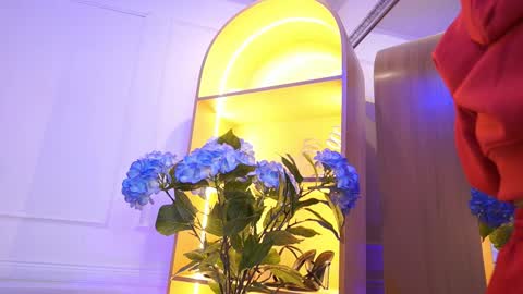 Elasummeer online show from 15, 1, 2026