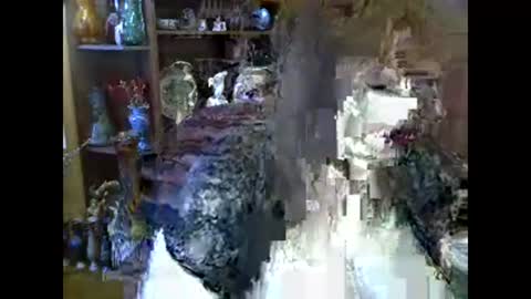 ElenaZed online show from 10, 2, 2026