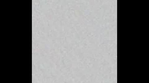 elephant_titus online show from 20, 1, 2025