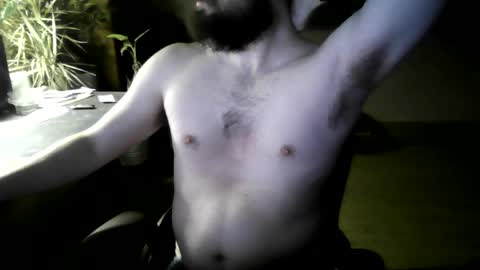 fox online show from 4, 4, 2026