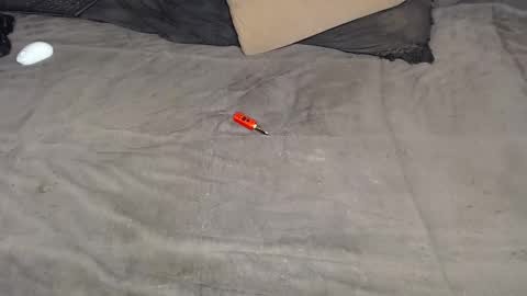 elgsslt online show from 11, 3, 2026