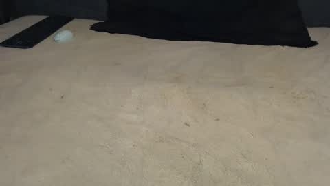 elgsslt online show from 17, 3, 2026