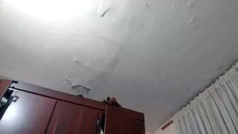 elianis598477 online show from 10, 2, 2026