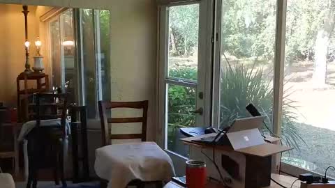 eliberator online show from 21, 12, 2025