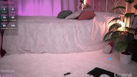 hiIm Elise    online show from 27, 11, 2025