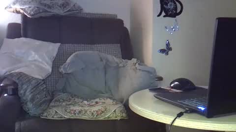 ellajohnsonx online show from 15, 3, 2026