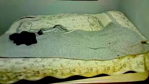 Snapshot of elpouto chatting on 7, 3, 2026 Elpouro online show from 7, 3, 2026