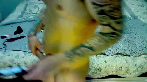 Snapshot of elpouto chatting on 9, 3, 2026 Elpouro online show from 9, 3, 2026