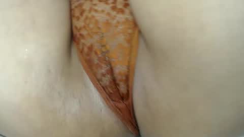 E L Z A  online show from 3, 3, 2025