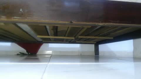 E L Z A  online show from 4, 3, 2025