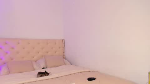 Michelle online show from 20, 3, 2026