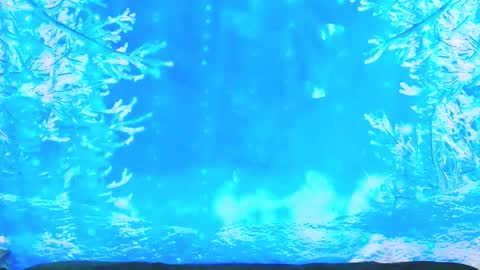 Ember Starleena online show from 19, 1, 2026