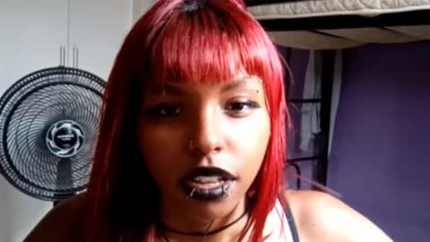 Emily Livos online show from 24, 2, 2026