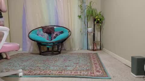 emily haze online show from 24, 10, 2025