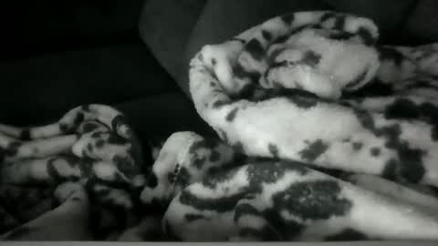 emilywarren296 online show from 21, 10, 2025