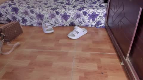 whises lits        online show from 23, 10, 2025