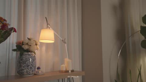 Snapshot of emma_lu1 chatting on 9, 10, 2025 emma_lu1 online show from 9, 10, 2025