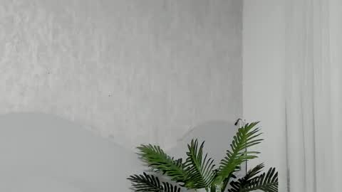 Emma Morgann online show from 25, 2, 2026