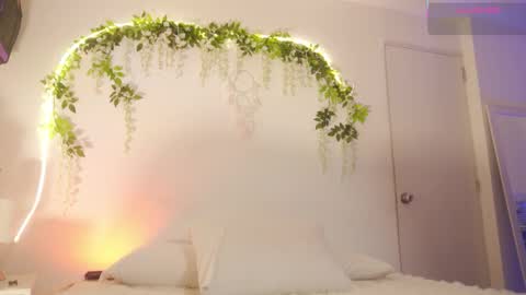 Sara online show from 15, 12, 2025