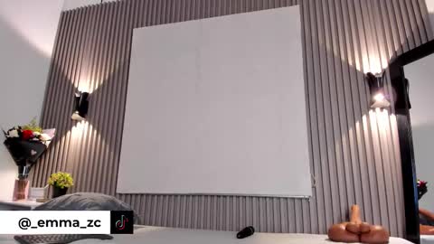 Snapshot of emmazc_ chatting on 10, 10, 2025 emmazc_ online show from 10, 10, 2025